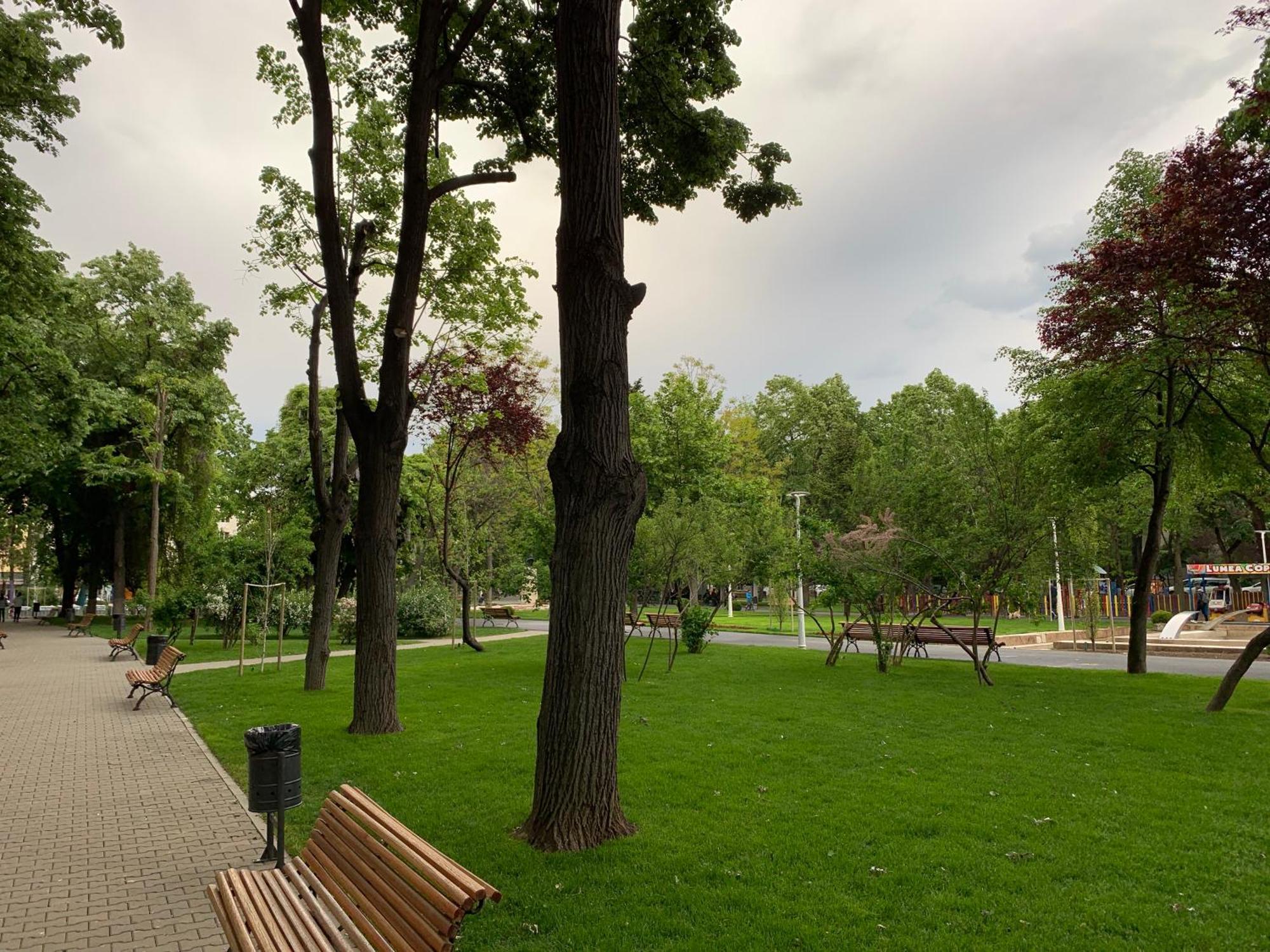 Floreasca Apartment Bach Bukareszt Zewnętrze zdjęcie
